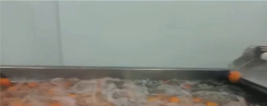 Baño de lavado de fruta con agua